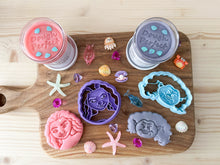 Load image into Gallery viewer, Moana Sensory Kit