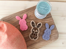 Load image into Gallery viewer, Bunny Kit