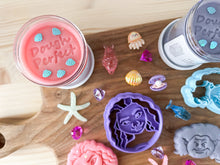 Load image into Gallery viewer, Moana Sensory Kit