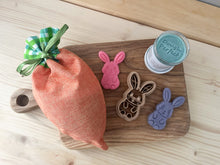 Load image into Gallery viewer, Bunny Kit