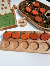 Load image into Gallery viewer, Pumpkin Counters & Cards