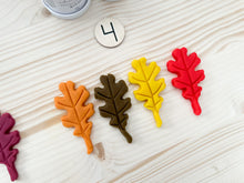 Load image into Gallery viewer, Oak Leaf Cutter