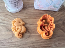 Load image into Gallery viewer, Seahorse Gift Set
